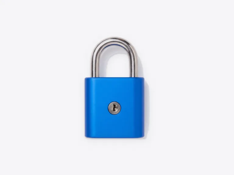 IT-Sicherheit: blaues Vorhängeschloss